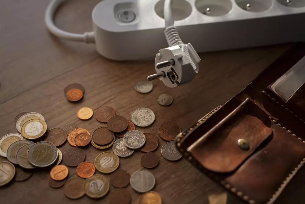 Coins with plug and wallet