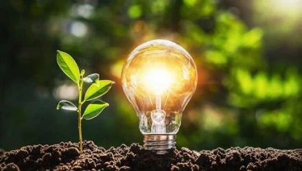 Bombilla iluminada junto a una planta en crecimiento, representando la innovación en energías renovables dentro del proyecto GREEN.